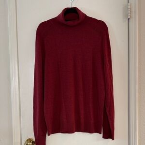 Express Men’s Turtleneck Sweater 100% Merino Wool NWT Size L
